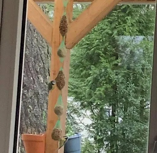 Chalet Serene Hoenderloo