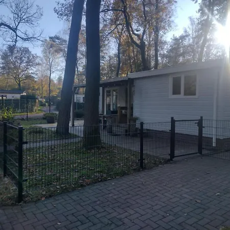 Serene